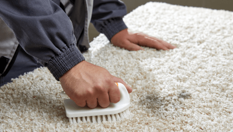 Professional Rug Cleaning Millbrook
