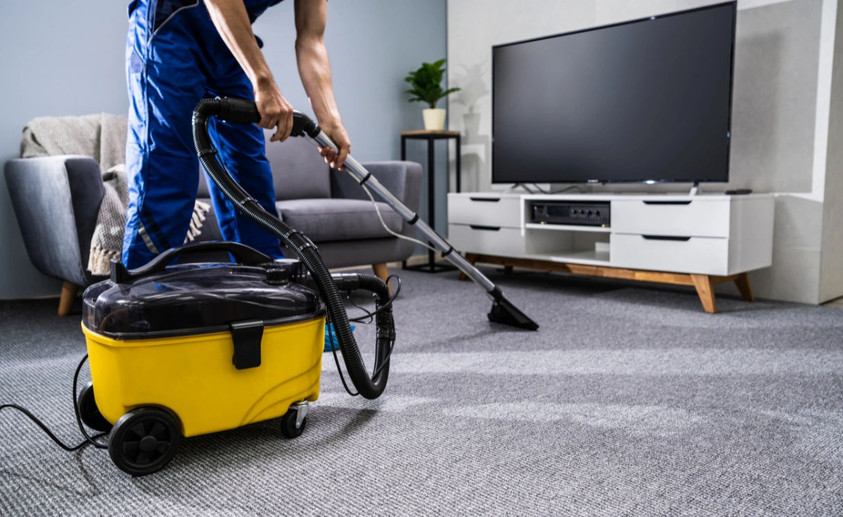Extract Rug Cleaning Millbrook Contact Office